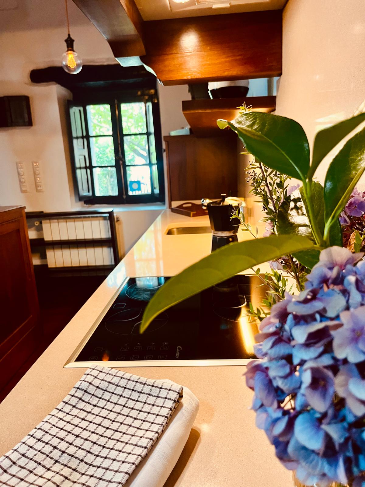 Detalle de la cocina con hortensias y ventana al jardín — Hostería de Castañeda